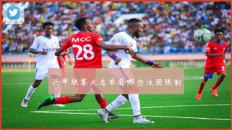 西甲联赛大名单有哪些注册限制