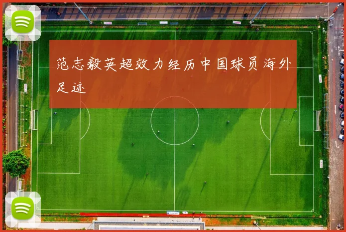 范志毅英超效力经历中国球员海外足迹